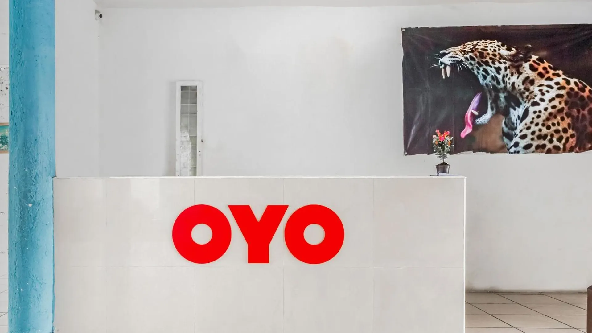 **  Oyo Hotel Jaguar Alfredo V. Bonfil Mexico